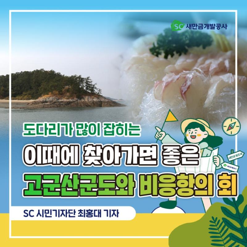 SC새만금개발공사 도다리가 많이 잡히는 이때에 찾아가면 좋은 고군산군도와 비응항의 회 SC 시민기자단 최홍대 기자